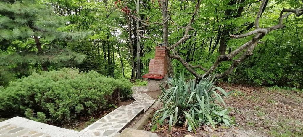 Cabana Din Padurea Valeni Vălenii de Munte Extérieur photo