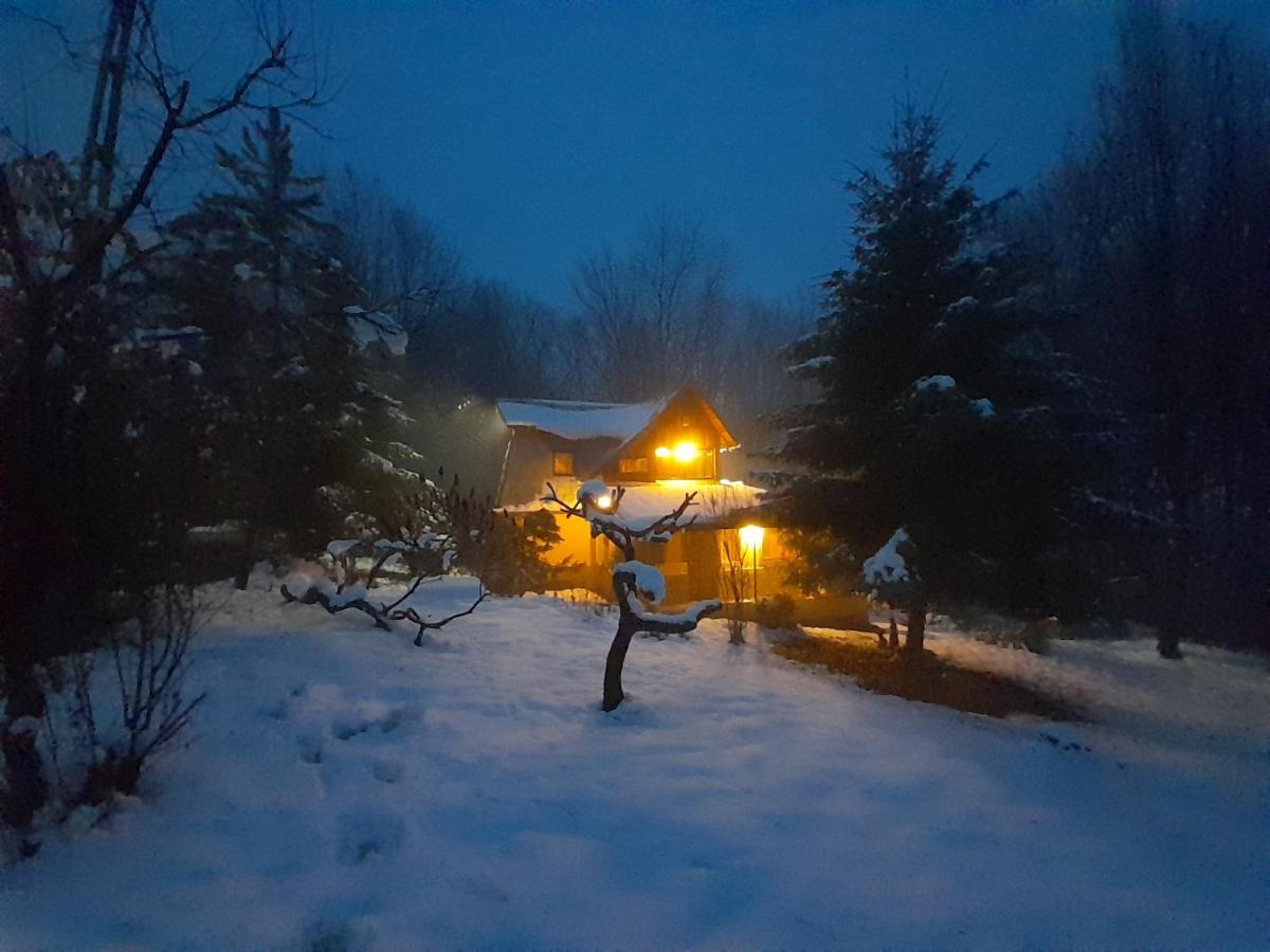 Cabana Din Padurea Valeni Vălenii de Munte Extérieur photo