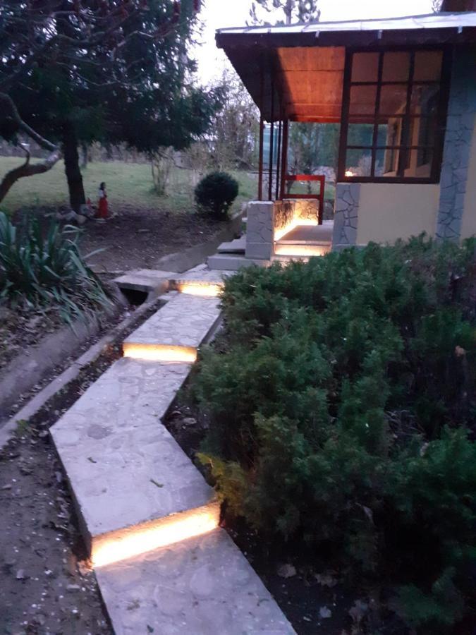 Cabana Din Padurea Valeni Vălenii de Munte Extérieur photo