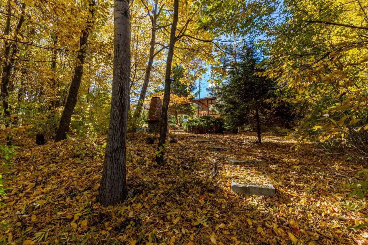 Cabana Din Padurea Valeni Vălenii de Munte Extérieur photo