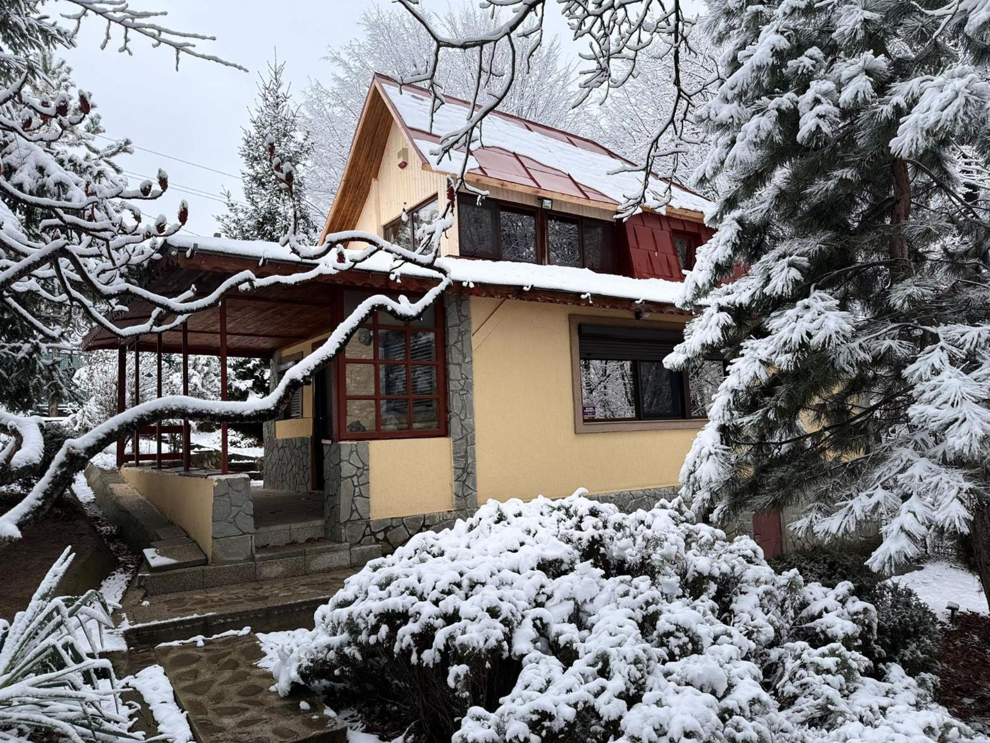 Cabana Din Padurea Valeni Vălenii de Munte Extérieur photo