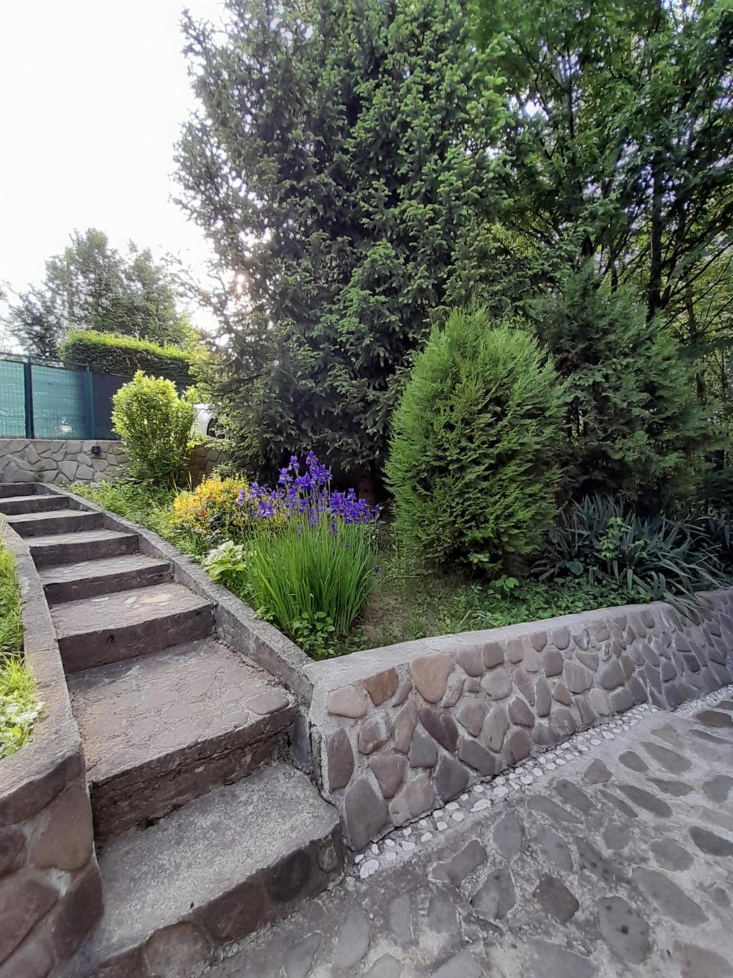 Cabana Din Padurea Valeni Vălenii de Munte Extérieur photo