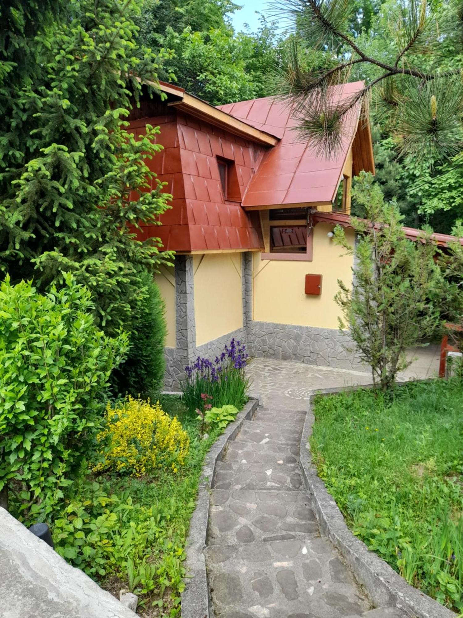 Cabana Din Padurea Valeni Vălenii de Munte Extérieur photo